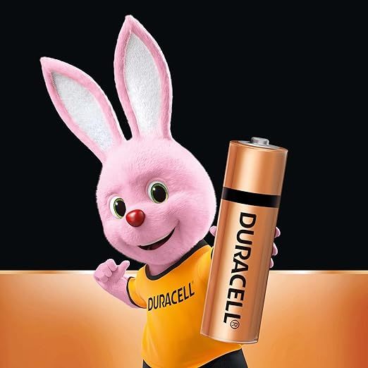 Duracell Everyday Alkaline Battery (AA2 / AA4 / AAA2 / AAA4)