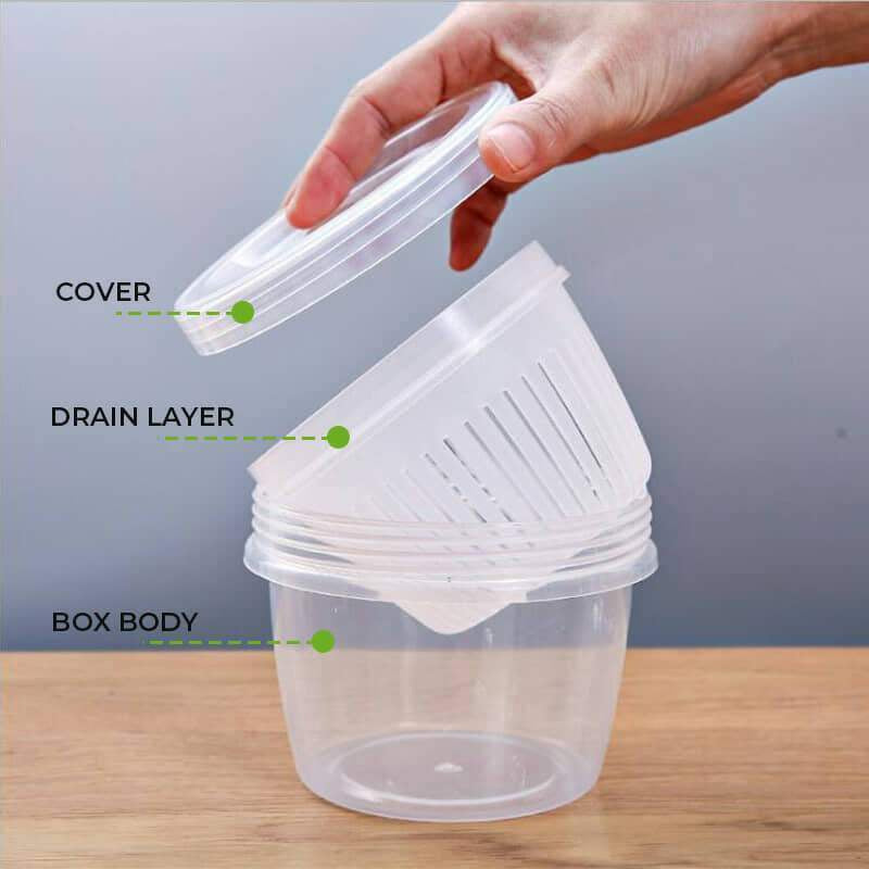 READY STOCK!!Double layer Airtight Food Box Spring Green Onion Ginger Garlic Storage Drain Sealed Fridge Fresh Container