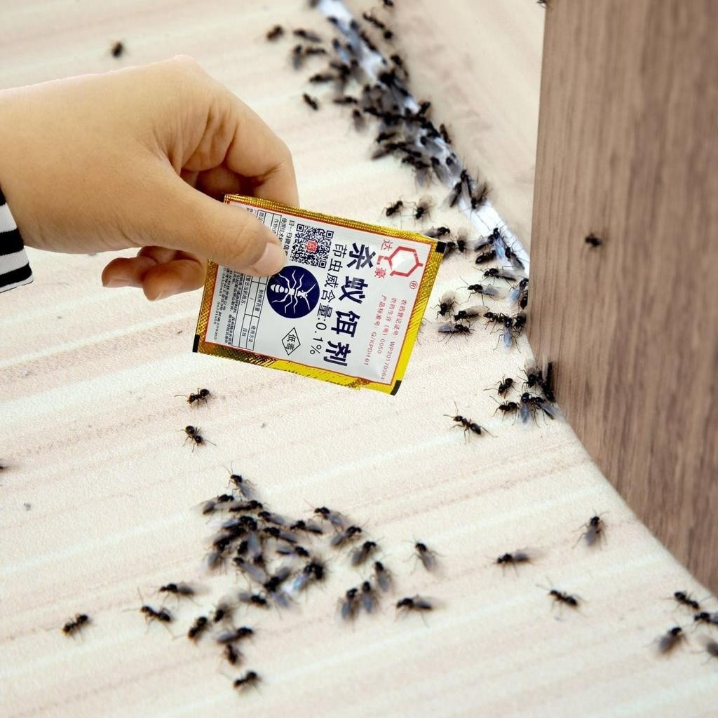 3g/5g Powder Ant / Cockroach Killer Bait Ants Repellent Trap Pest control Destroy Ant Baits Lipas Semut