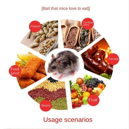 【READY STOCK】Mouse Trap | Strong Rat Trap Catcher | Reusable Rodent Control Snap Trap 老鼠夹