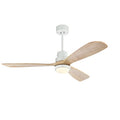 Fan Ceiling with light (107CM/132CM) Pre-order