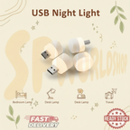 USB MINI LIGHT | 迷你 USB 随身灯：5V LED 护眼节能 | 适配充电宝/电脑/插座 | 现货秒发 Universal Mini USB LED Light | Portable Eye-Care Table Lamp for Laptop