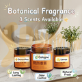 【READY STOCK】Botanical Fragrance Air Freshener | Natural Plant-Based Scent | Long-Lasting & Refreshing 浴室香膏