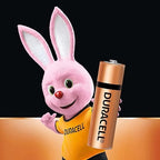 Duracell Everyday Alkaline Battery (AA2 / AA4 / AAA2 / AAA4)