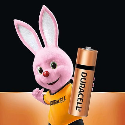 Duracell Everyday Alkaline Battery (AA2 / AA4 / AAA2 / AAA4)