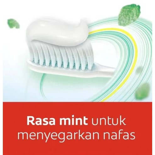 READY STOCK!!! Colgate Maximum Cavity Protection Fresh Cool Mint/Great regular flavor Toothpaste 180g