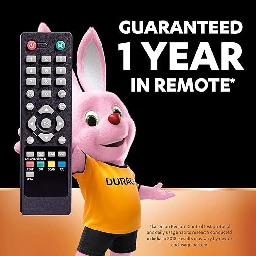 Duracell Everyday Alkaline Battery (AA2 / AA4 / AAA2 / AAA4)