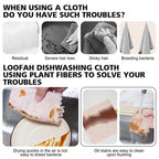 【READY STOCK】Natural Loofah Sponge Dish Cloth | Eco-Friendly Biodegradable Kitchen Cleaning Scrubber 天然丝瓜抹布