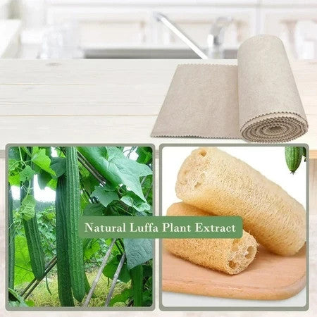 【READY STOCK】Natural Loofah Sponge Dish Cloth | Eco-Friendly Biodegradable Kitchen Cleaning Scrubber 天然丝瓜抹布