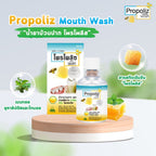 READY STOCK!!!Propoliz Mouth Spray 15ml 蜂胶口腔喷雾