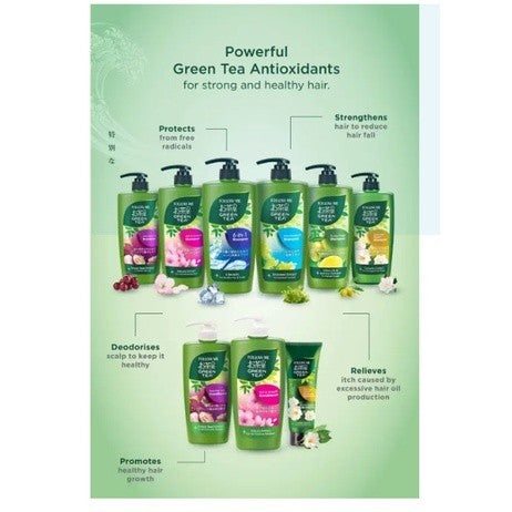 (FREE SHIPPING NO SBH/SRW) Follow Me Green Tea Shampoo 650ml / Green Tea Hijab Shampoo 650ml