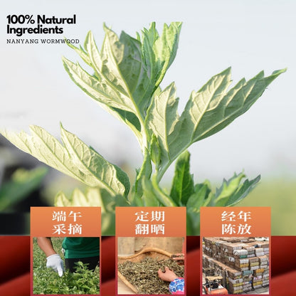 艾灸贴 Wormwood Moxa Plaster 艾草发热贴  Moxibustion Heat Patch  自发热敷艾灸颈椎膝盖艾热贴暖身贴暖宝宝热帖