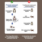 READY STOCK!!! Trap Cockroach House Physical cockroach extermination Roach Trap Lipas killer Ubat lipas rumah  蟑螂捕捉屋
