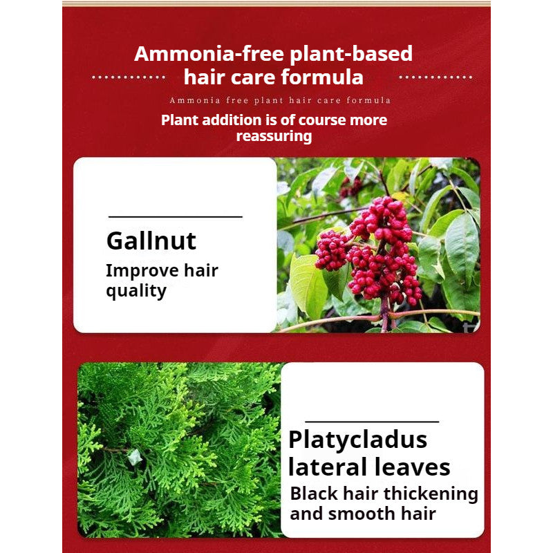 【READY STOCK】Natural Herbal Hair Dye | Plant-Based Non-Toxic Hair Color | Gentle Gray Hair Coverage & Hair Care 天然植物染发剂