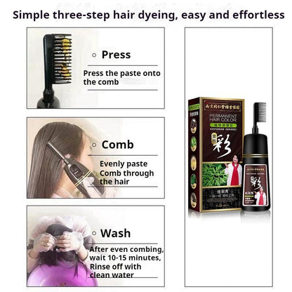 【READY STOCK】Natural Herbal Hair Dye | Plant-Based Non-Toxic Hair Color | Gentle Gray Hair Coverage & Hair Care 天然植物染发剂