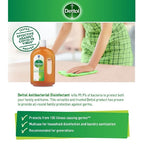 Dettol Antibacterial Brown Antiseptic Liquid 60ml
