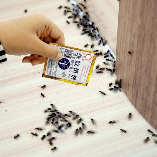 3g/5g Powder Ant / Cockroach Killer Bait Ants Repellent Trap Pest control Destroy Ant Baits Lipas Semut