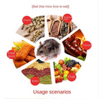 【READY STOCK】Mouse Trap | Strong Rat Trap Catcher | Reusable Rodent Control Snap Trap 老鼠夹