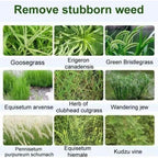 XIAO TIAN HU | 小田虎 10% 草铵膦：根源除草、见效快 | 园林杂草克星 Fast-Acting Glufosinate Herbicide | Effective Grass & Weed Control (200g)