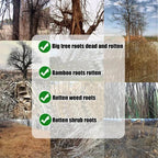 XIAO TIAN HU | 小田虎 10% 草铵膦：根源除草、见效快 | 园林杂草克星 Fast-Acting Glufosinate Herbicide | Effective Grass & Weed Control (200g)